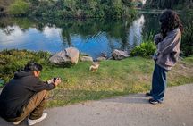 Golden Gate Park Twilight Wildlife Walking Tour