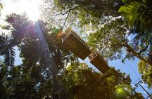 Sky Gondola and Trails at Veragua Rainforest