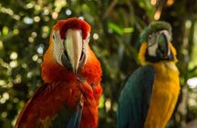 3 Day - Posada Amazonas Classic Program Group Tour
