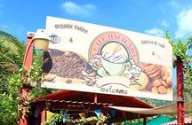 Puerto Vallarta History and Culture with Flavors Discovery
