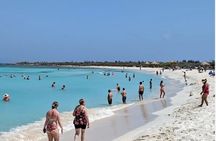  Aruba Private Tour with SeaFood/Caribbean Food Included