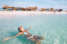  Aruba Private Tour with SeaFood/Caribbean Food Included