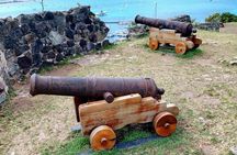 St. Maarten/Saint Martin Island Tour