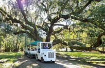 Magnolia Plantation Day Tour with Transportation