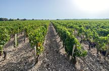 Saint Emilion Castle and Village Wine Tour