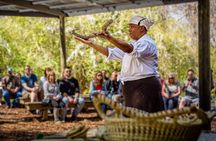 Boone Hall Plantation Day Tour with Transportation