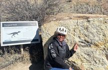 Red Rocks and Dinosaur Ridge E Bike Tour 