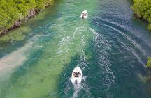Shared Jungle Speed Boat Tour in Cancun