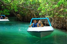 Shared Jungle Speed Boat Tour in Cancun