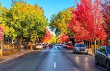 Adelaide City and Hahndorf Full Day Tour
