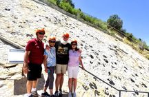 Red Rocks and Dinosaur Ridge E Bike Tour 