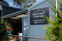 A Day in Wineglass Bay - Launceston to Hobart 