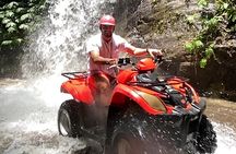 ATV Quad Bike Kuber Through Waterfall, Tunnel And Rice Field