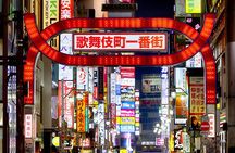 Tokyo After Dark Shinjuku Tour of Tradition and Pop Culture