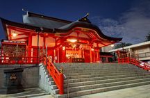 Tokyo After Dark Shinjuku Tour of Tradition and Pop Culture