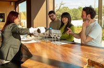 Winery Tour and Tasting, Discover the Organic Wines of Ostuni