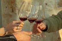 Winery Tour and Tasting, Discover the Organic Wines of Ostuni