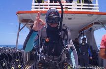 DIVING BATISMO ARVOREDO OU ESTALEIRO by Zimbros Ecotour