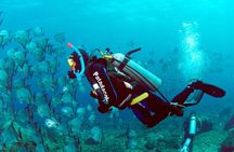 DIVING BATISMO ARVOREDO OU ESTALEIRO by Zimbros Ecotour