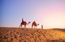 Dubai Desert Safari with optional Quad Bike, Dinner & Shows