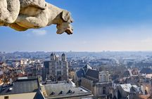 Best Intro to Dijon in 2 hours with a Local