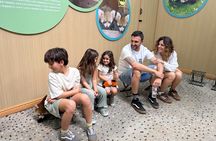 Unique One-Day Tour: Interactive Experience with Red Pandas