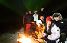 Tromsø: Northern Lights Chase, Local Guide, Foods & Pictures