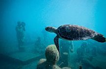 Sculpture Snorkeling Adventure