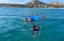 Private Snorkeling Adventure Sea of Cortez