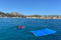 Private Snorkeling Adventure Sea of Cortez