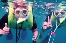 Ultimate Beginner Snorkeling Tour