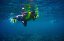 Ultimate Beginner Snorkeling Tour