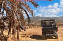 Lara Bay & Adonis Falls Quad & Buggy Tour