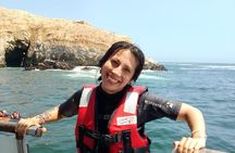 Palomino Islands Yacht Tour for Swimming with Sea Lions