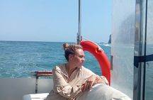 Palomino Islands Yacht Tour for Swimming with Sea Lions