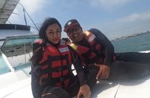 Palomino Islands Yacht Tour for Swimming with Sea Lions