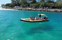 Noosa ocean tour & Dolphin safari. Family specials