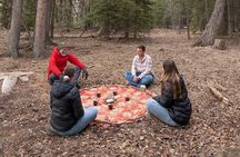 Private Forest Bathing Experience Connect with Nature