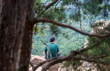 Private Forest Bathing Experience Connect with Nature