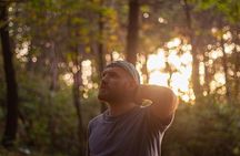 Private Forest Bathing Experience Connect with Nature