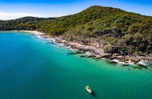 Noosa ocean tour & Dolphin safari. Family specials