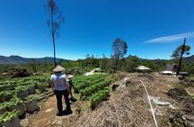 Bandung Volcano Sightseeing and Hot Spring Private Tour