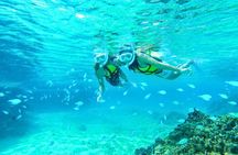 From Yonabaru MarinaCatamaran Yacht Day Cruise | Fully Chartered Boat Plan (3/6 hour course)