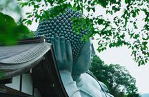 YokaBus Nanzoin Bronze Buddha, Itoshima Totoro Forest&Futamigaura