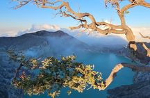 4 Days Tour From Yogya Tumpaksewu Bromo Ijen
