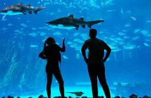Aquarium Poema del Mar and Bus TUI Package