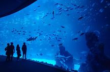 Aquarium Poema del Mar and Bus TUI Package