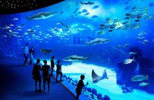 Aquarium Poema del Mar and Bus TUI Package
