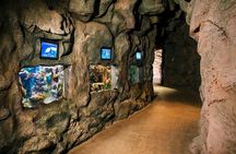 Aquarium Poema del Mar and Bus TUI Package