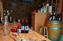 Dalmatian Wine Odyssey - Wine Tasting Experience in Split